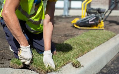 A landscape gardener is laying turf for a new lawn. Rolled lawn